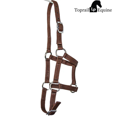Webbing/Nylon foal halter