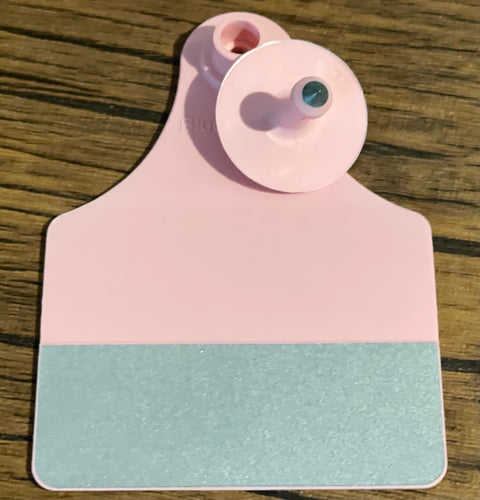 Large Pale Pale Pink  Reflective Ear Tags WITH Buttons